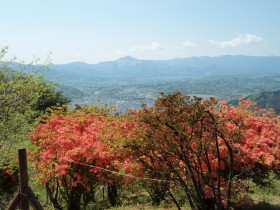 長瀞宝登山神社から見える皆野町と武甲山/秩父観光ちーぽん