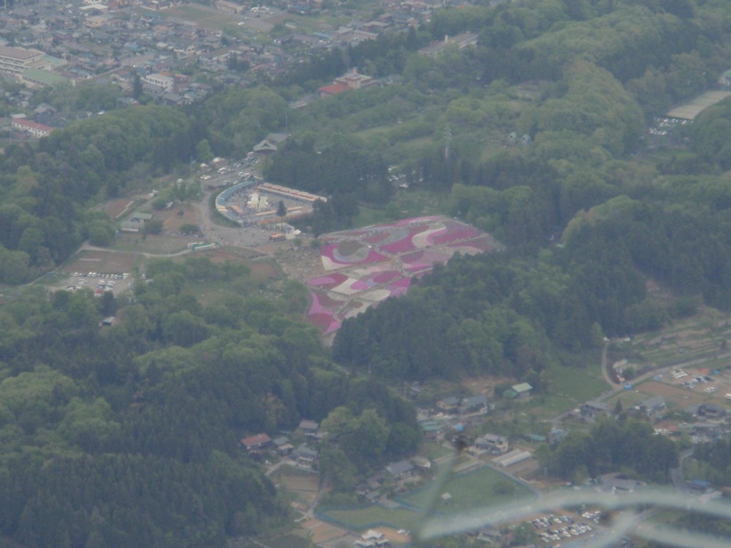 武甲山から見た羊山公園の芝桜の丘