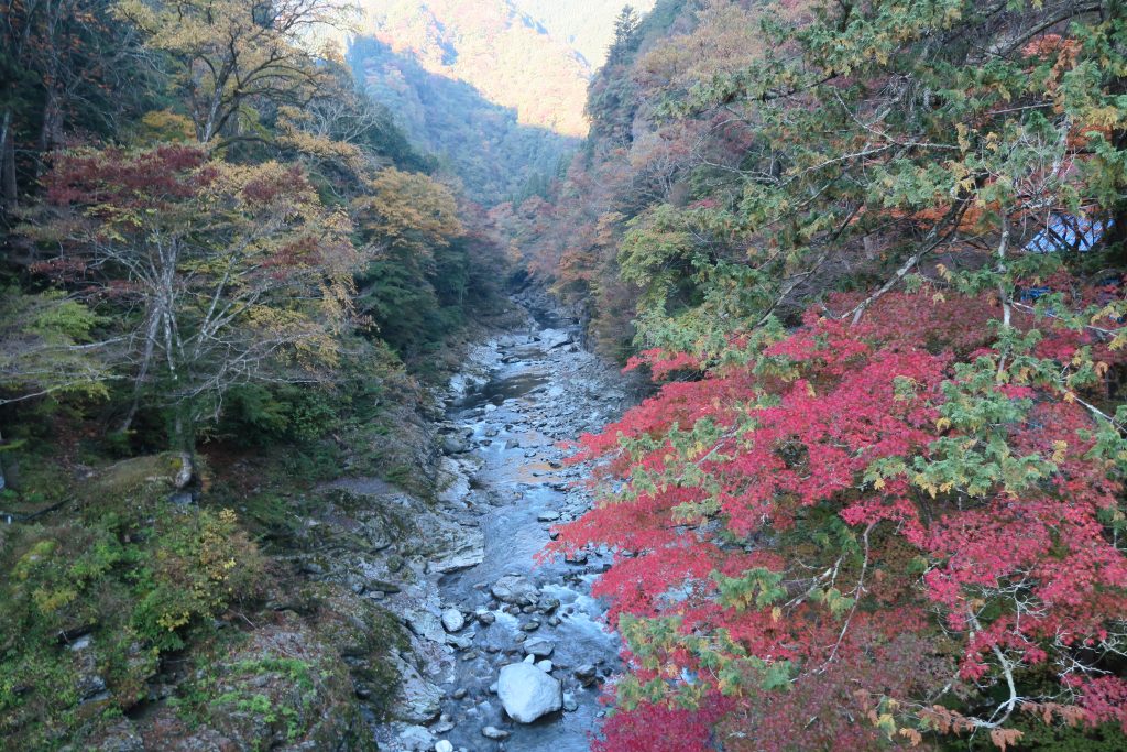 三峰神社へ向かう道のり 紅葉の様子